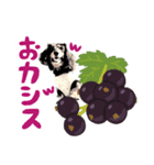 ミニチュアダックスの気ままなランチ⑱（個別スタンプ：2）