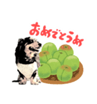 ミニチュアダックスの気ままなランチ⑱（個別スタンプ：5）