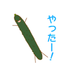 さらだぼうるの野菜たち（個別スタンプ：12）