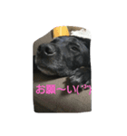 バーボンスタンプ♡（個別スタンプ：6）