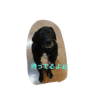 バーボンスタンプ♡（個別スタンプ：12）