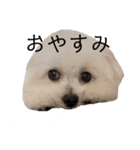 ニコ日記（個別スタンプ：3）
