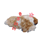 ももの日常 1（個別スタンプ：2）