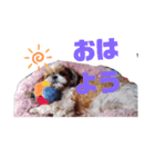 ももの日常 1（個別スタンプ：4）