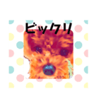 18.Hana(2)（個別スタンプ：4）