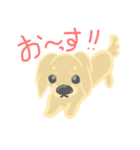 クリームダックスちゃんだよ（個別スタンプ：1）