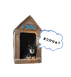 関西弁くろしば2（個別スタンプ：16）
