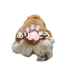 杏ちゃーん！（個別スタンプ：7）
