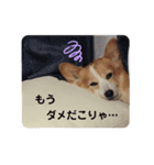 杏ちゃーん！（個別スタンプ：13）