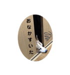 杏ちゃーん！（個別スタンプ：16）