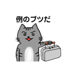 うちのこじじろう劇場（個別スタンプ：38）
