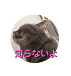 スタイリーサイタマ2（個別スタンプ：5）