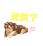 チワワのクッキーのスタンプ（個別スタンプ：39）