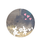 くんクマ スタンプ（個別スタンプ：2）