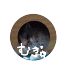 くんクマ スタンプ（個別スタンプ：8）