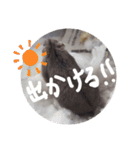 くんクマ スタンプ（個別スタンプ：18）