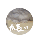 くんクマ スタンプ（個別スタンプ：23）