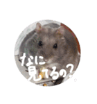 くんクマ スタンプ（個別スタンプ：24）