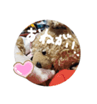 くんクマ スタンプ（個別スタンプ：26）