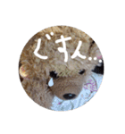 くんクマ スタンプ（個別スタンプ：28）