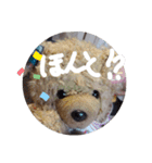 くんクマ スタンプ（個別スタンプ：29）