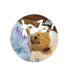 くんクマ スタンプ（個別スタンプ：35）