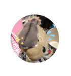 くんクマ スタンプ（個別スタンプ：40）