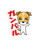 ジャックラッセルテリア犬（個別スタンプ：3）