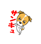 ジャックラッセルテリア犬（個別スタンプ：5）