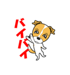 ジャックラッセルテリア犬（個別スタンプ：6）