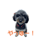 19.ガブ（個別スタンプ：2）