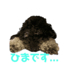19.ガブ（個別スタンプ：4）