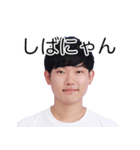 しばにゃんスタンプ vol.2（個別スタンプ：2）