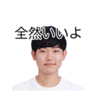 しばにゃんスタンプ vol.2（個別スタンプ：19）