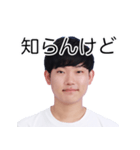 しばにゃんスタンプ vol.2（個別スタンプ：23）