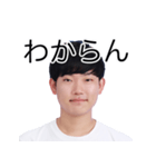 しばにゃんスタンプ vol.2（個別スタンプ：24）