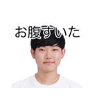 しばにゃんスタンプ vol.2（個別スタンプ：31）