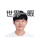 しばにゃんスタンプ vol.2（個別スタンプ：36）