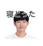 しばにゃんスタンプ vol.2（個別スタンプ：37）