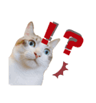 うちのゆるいねこ1（個別スタンプ：10）