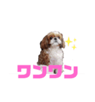 ももの日常 2（個別スタンプ：3）