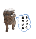 実写狛犬（個別スタンプ：3）