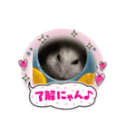 さくま11（個別スタンプ：3）