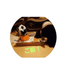 黒猫、白黒ねこ2（個別スタンプ：16）