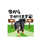 ミニチュアダックスのしんけんポッキー（個別スタンプ：5）