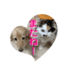 コロン美里音スタンプ①（個別スタンプ：3）