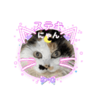 コロン美里音スタンプ①（個別スタンプ：7）