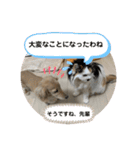 コロン美里音スタンプ①（個別スタンプ：15）