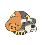 PiNCHトイプーぴんちゃん（個別スタンプ：1）