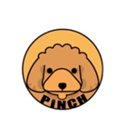 PiNCHトイプーぴんちゃん（個別スタンプ：2）